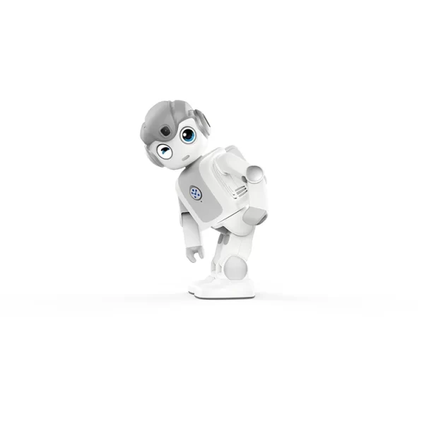 Selling Promotional Price Dancing Smart Dance Artificial Intelligence Toy Robots Education Robot With Best Service