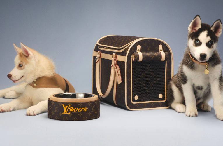 Louis Vuitton Malle Chien Carrying Dog Sleek Trunk M10063 – Luxury Meets Comfort for Your Beloved Pet